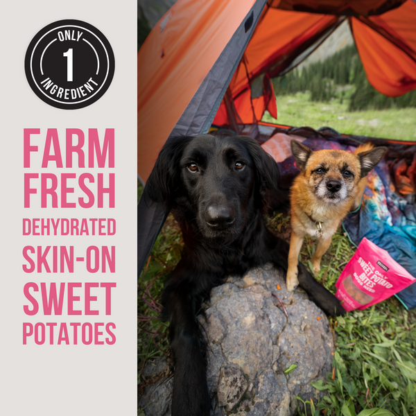 The Only Dehydrated Sweet Potato Bites Dogs Need - Wholesale