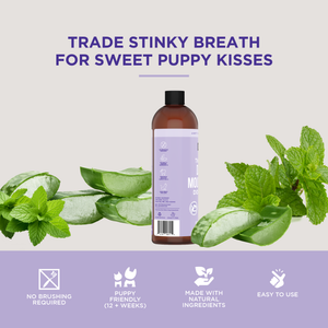 The Only Doggy Mouthwash Dogs Need