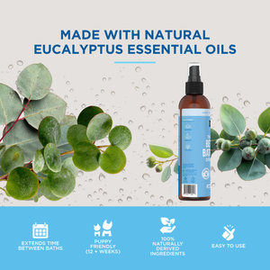 The Only Between Bath Spray Dogs Need - Eucalyptus & Rain