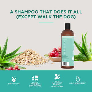 The Only Dog Shampoo Dogs Need