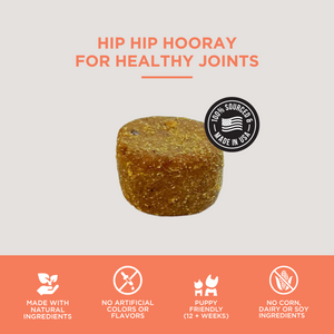 The Only Hemp Hip & Joint Soft Chews Dogs Need