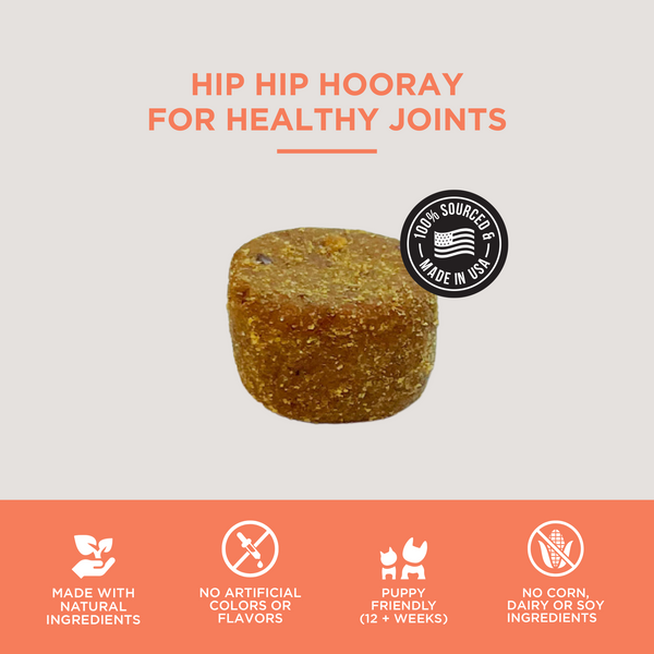 The Only Hip & Joint Soft Chews Dogs Need