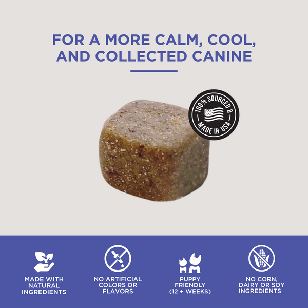 The Only Calming Soft Chews Dogs Need