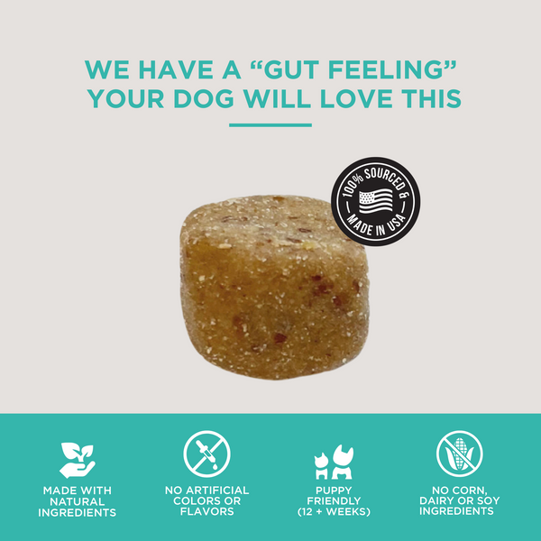 The Only Digestive Support Soft Chews Dogs Need