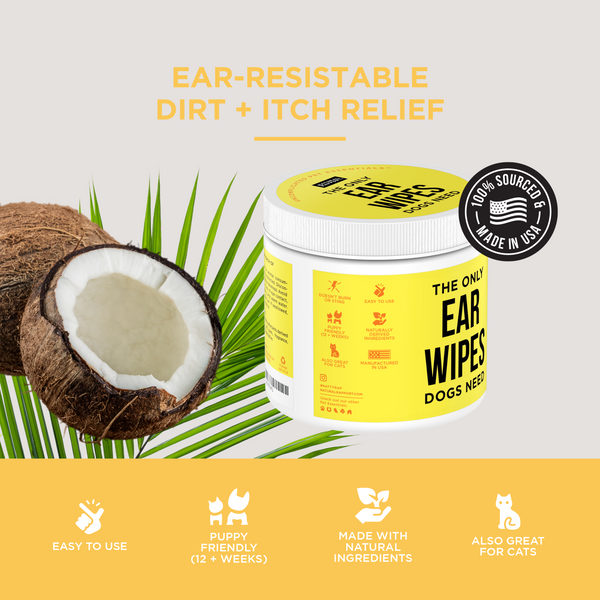 The Only Ear Wipes Dogs Need