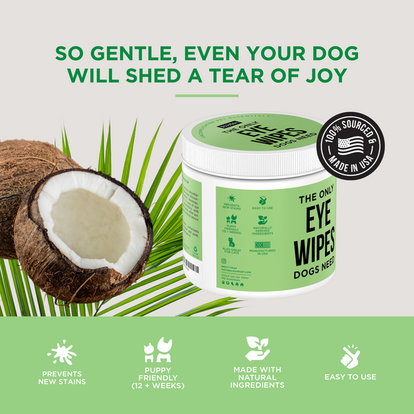 The Only Eye Wipes Dogs Need