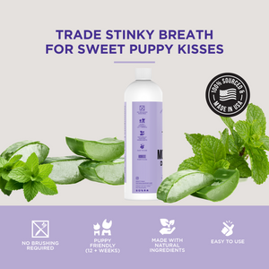 The Only Doggy Mouthwash Dogs Need