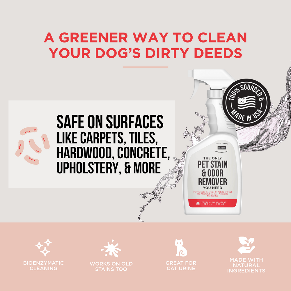 The Only Pet Stain & Odor Remover You Need