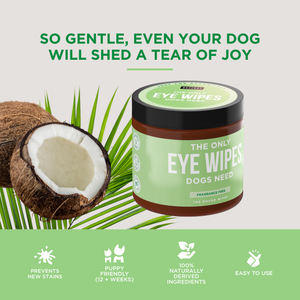The Only Eye Wipes Dogs Need