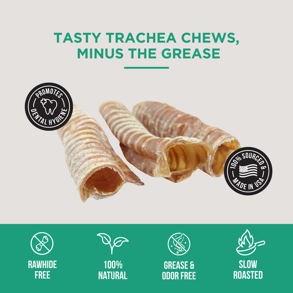 The Only Beef Trachea Chews Dogs Need