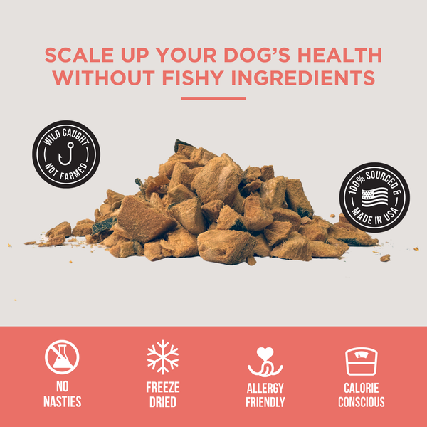 The Only Freeze Dried Salmon Dogs Need