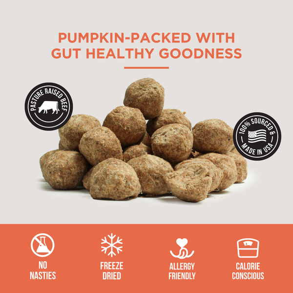 The Only Freeze Dried Pumpkin Meatballs Dogs Need - Wholesale