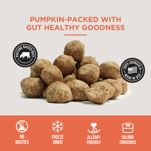 The Only Freeze Dried Pumpkin Meatballs Dogs Need