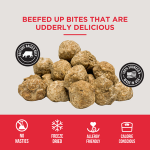 The Only Freeze Dried Beef Meatballs Dogs Need - BULK