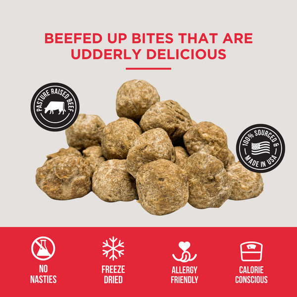 The Only Freeze Dried Beef Meatballs Dogs Need - Wholesale