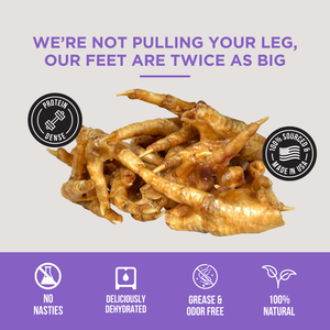 The Only Dehydrated Chicken Feet Dogs Need