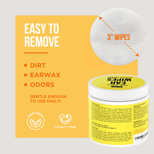 The Only Grooming Essentials Dogs Need