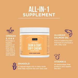 The Only Skin & Coat Soft Chews Dogs Need