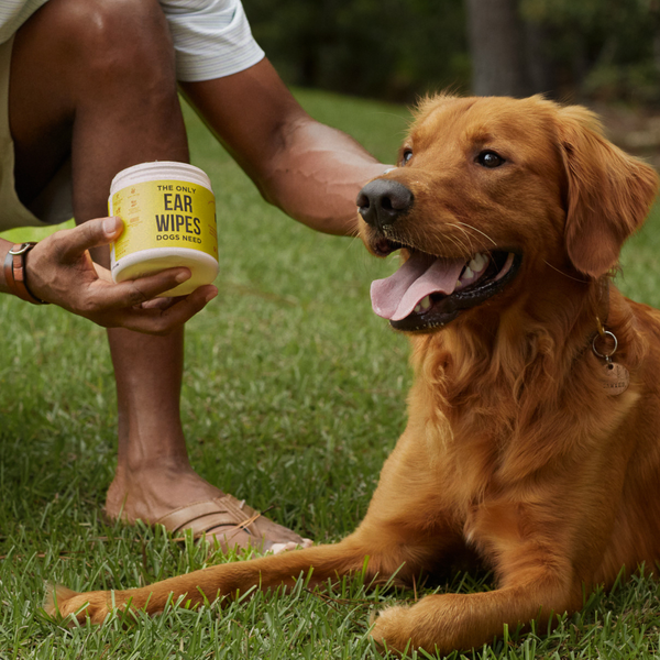 The Only Ear Wipes Dogs Need