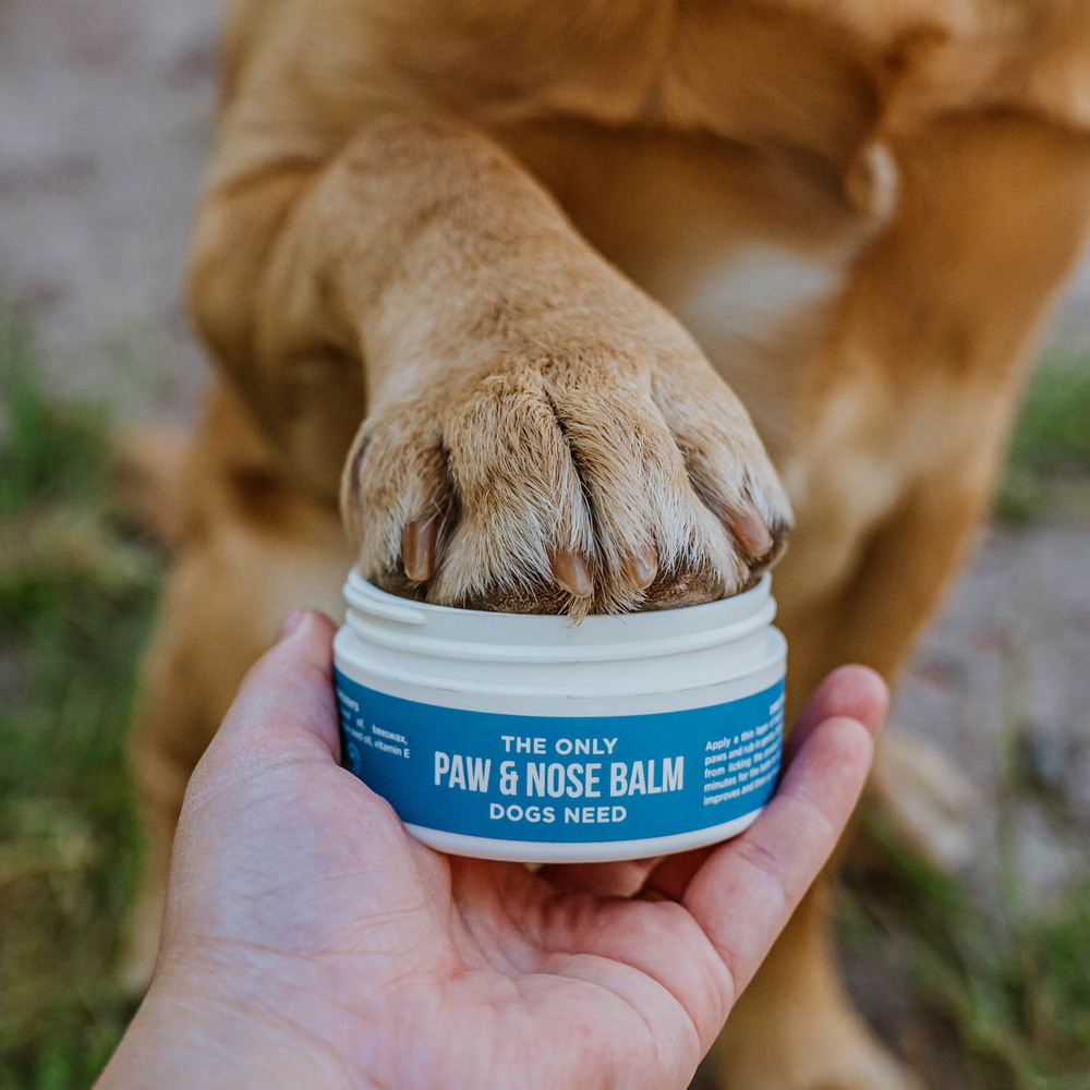 The Only Paw & Nose Balm Dogs Need