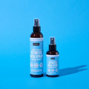 The Only Between Bath Spray Dogs Need - Eucalyptus & Rain