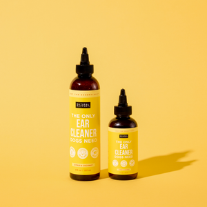 The Only Ear Cleaner Dogs Need