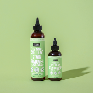 The Only Eye Tear Stain Remover Dogs Need