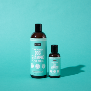 The Only Dog Shampoo Dogs Need