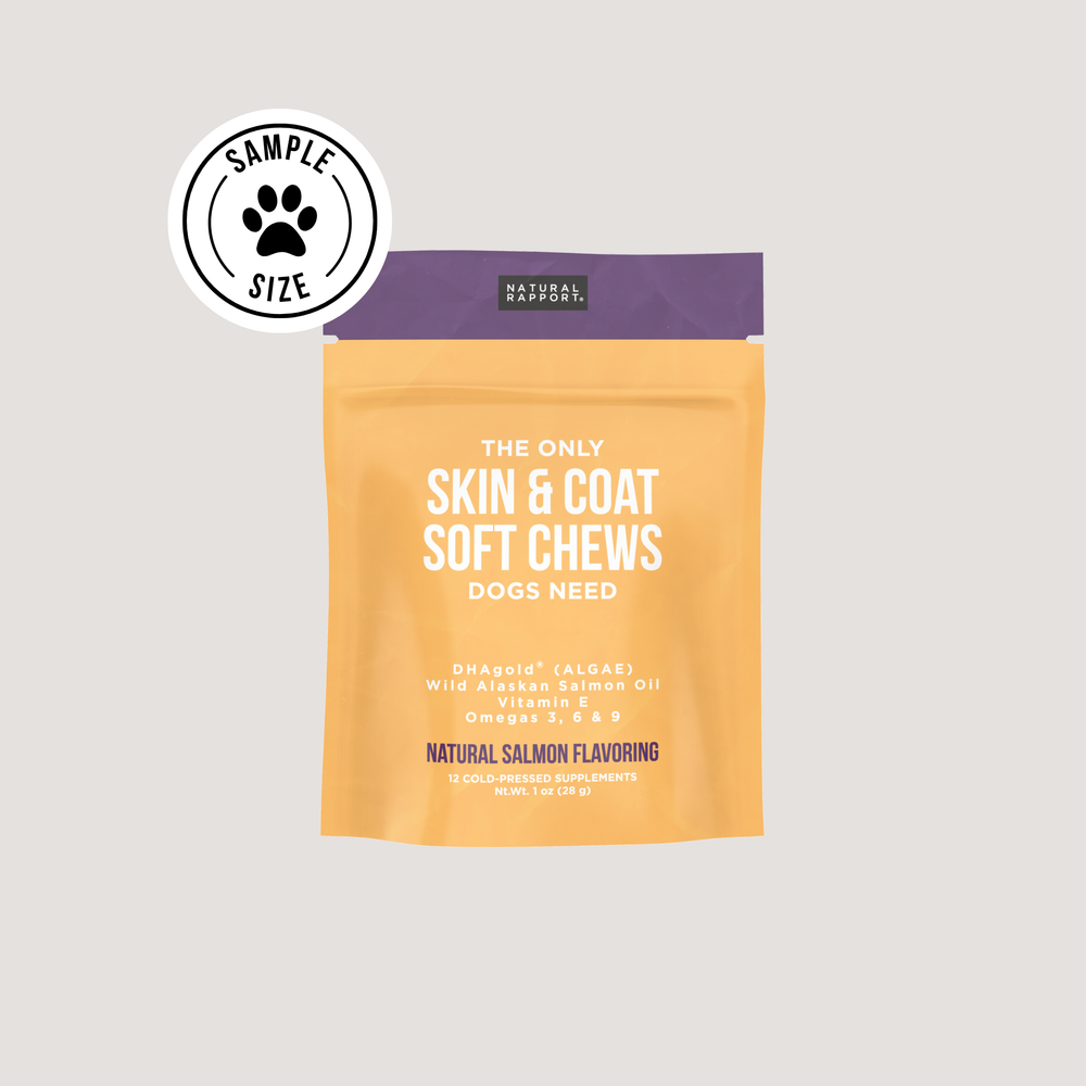 The Only Skin & Coat Soft Chews Dogs Need