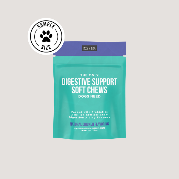 The Only Digestive Support Soft Chews Dogs Need