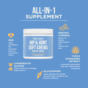 The Only Hip & Joint Soft Chews Dogs Need