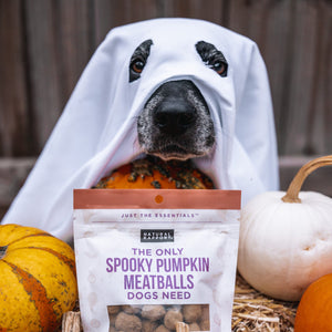 The Only Spooky Pumpkin Meatballs Dogs Need
