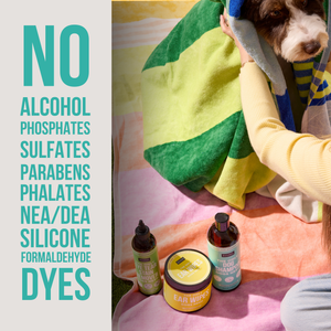 The Only Grooming Essentials Dogs Need