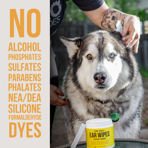 The Only Ear Cleaner Duo Dogs Need