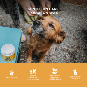 The Only Ear Cleaner Duo Dogs Need
