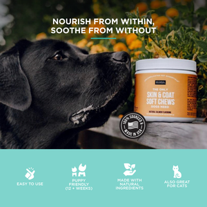The Only Itch Relief Trio Dogs Need