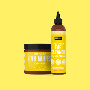 The Only Ear Cleaner Duo Dogs Need
