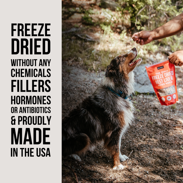 The Only Freeze Dried Treats Dogs Need