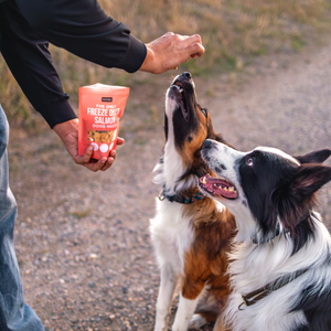 The Only Freeze Dried Treats Dogs Need