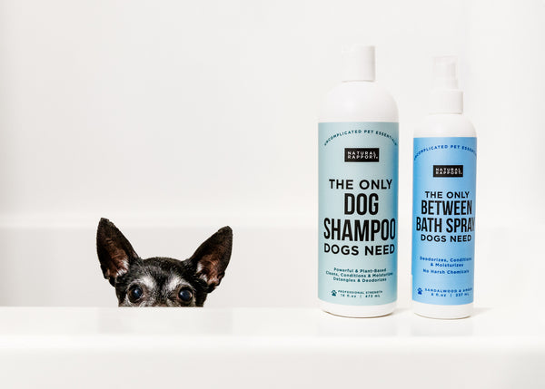 The Only Melatonin Calming Soft Chews Dogs Need
