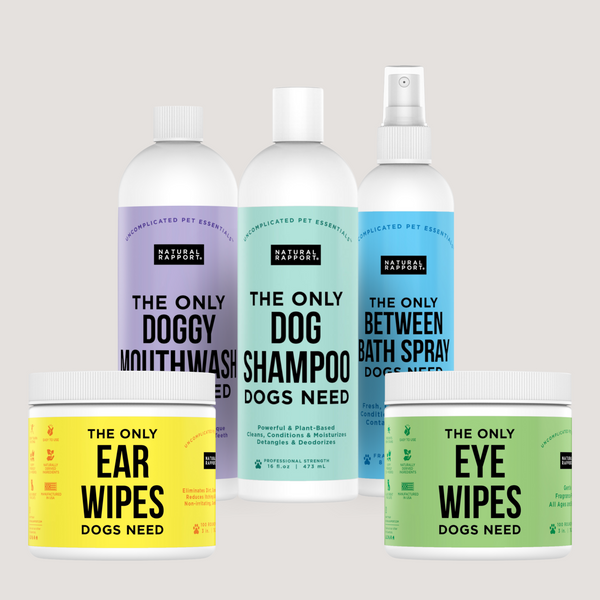 The Only Grooming Essentials Dogs Need