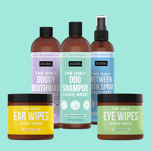 The Only Grooming Essentials Dogs Need
