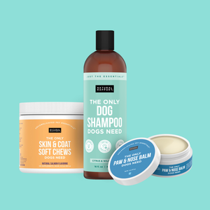 The Only Itch Relief Trio Dogs Need