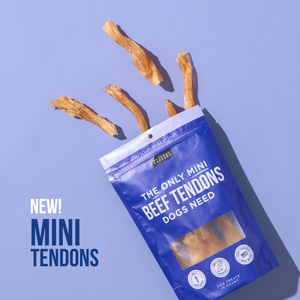 The Only Beef Tendon Chews Dogs Need