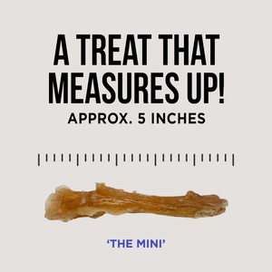 The Only Beef Tendon Chews Dogs Need
