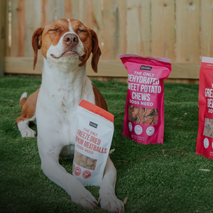 Donate a Bag to Ozzie Albies Foundation