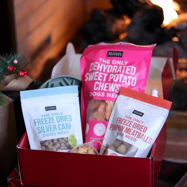 The Only Holiday Gift Box Dogs Need