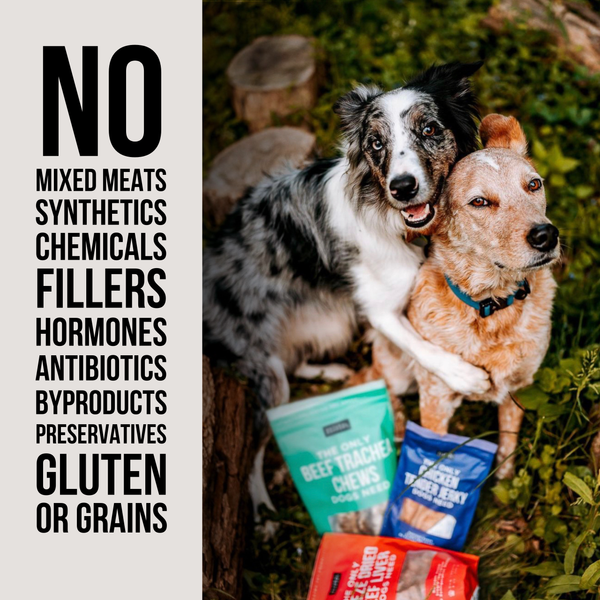 The Only Single Ingredient Treats Dogs Need