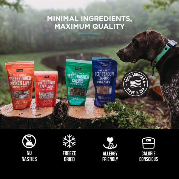 The Only Single Ingredient Treats Dogs Need