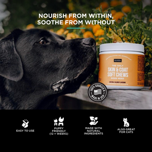 The Only Itch Relief Trio Dogs Need
